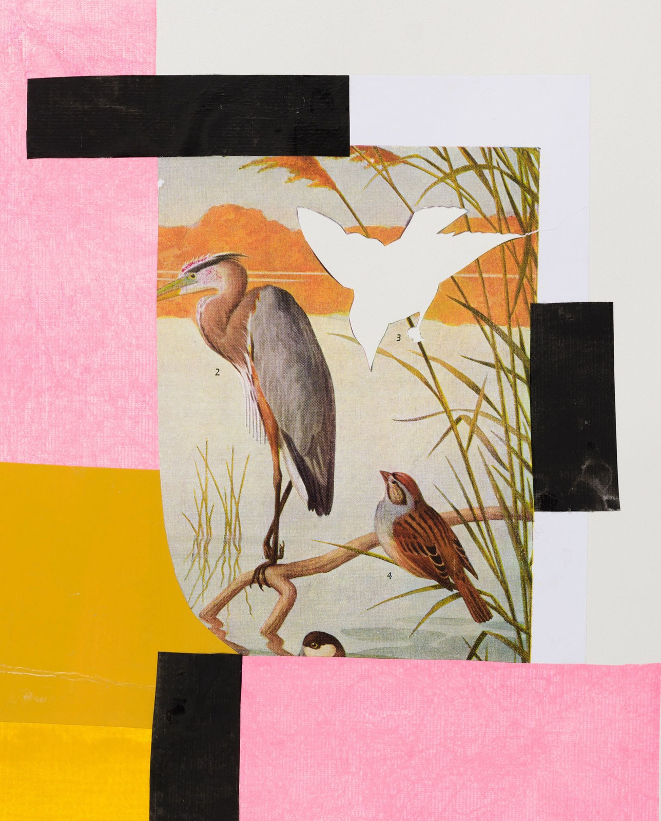 Diana Guerrero-Maciá, Paintings for Birds no. 7, 2024