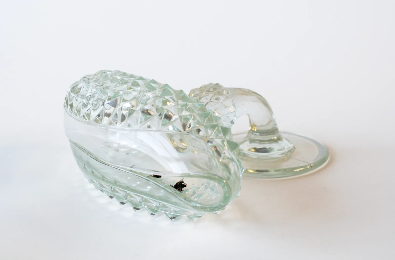 Kitty Rauth, Untitled (Wilted Series #4), 2023