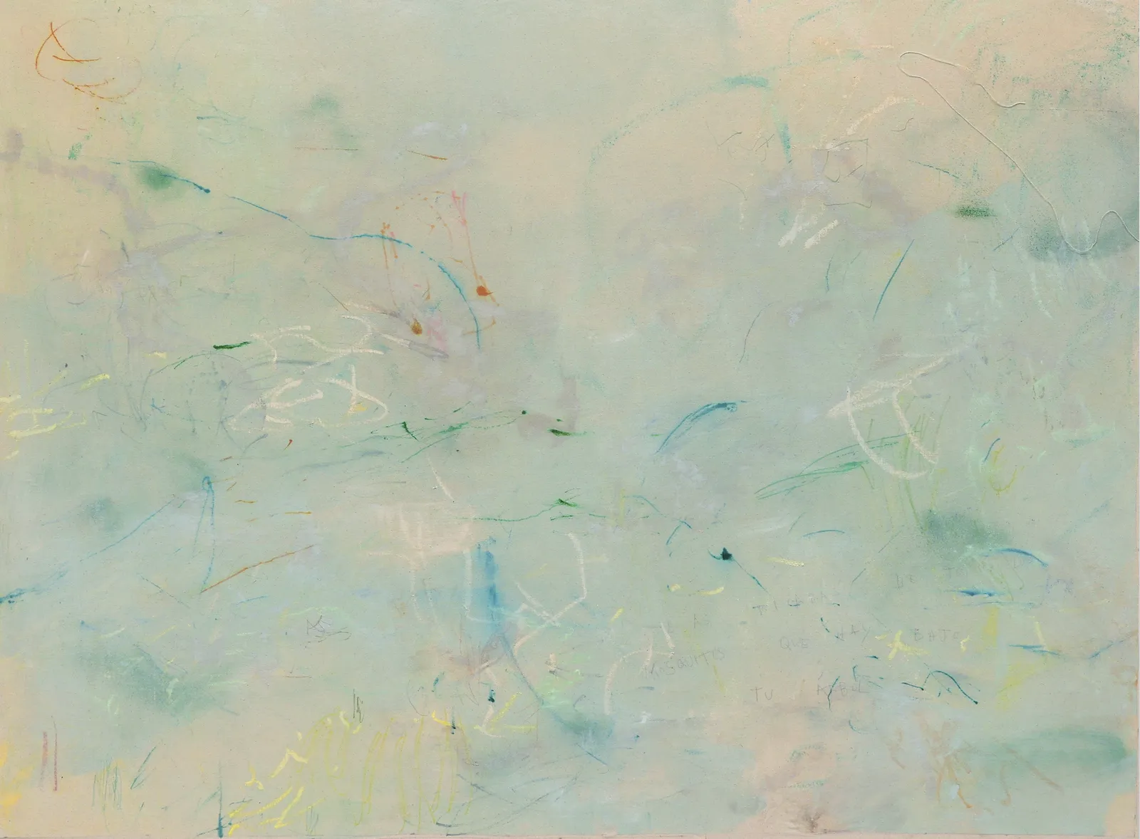 Ana Monsó, Las picaduras de todos los mosquitos que hay bajo tu árbol, 2024