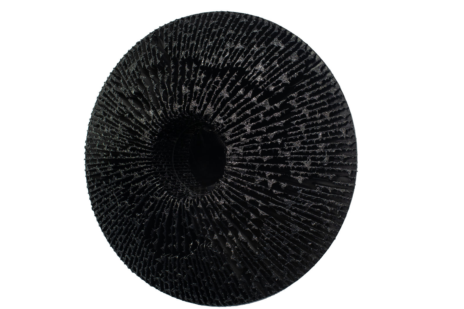 Vasily Klyukin, 1DGL, 2019-2021