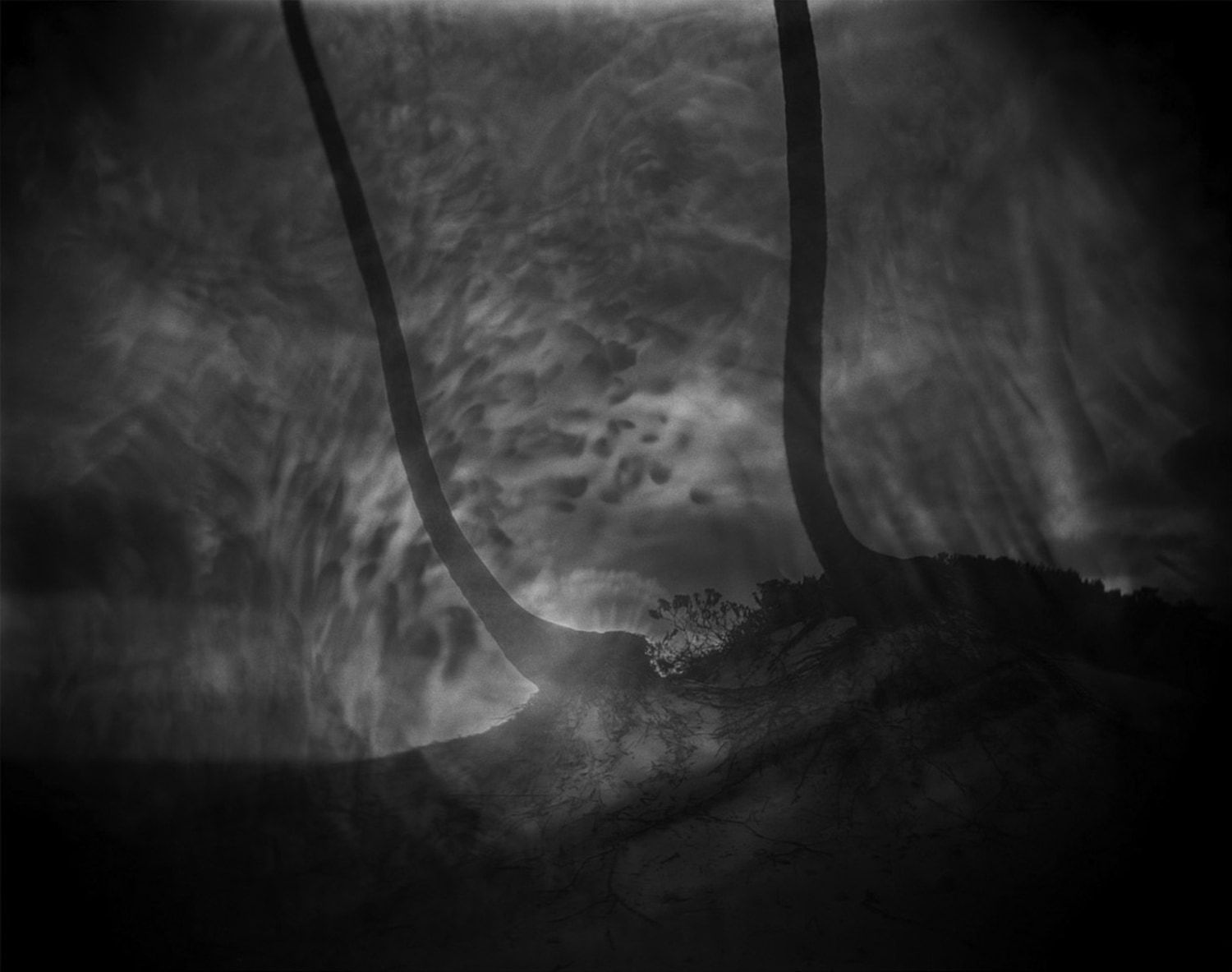 Sally Mann, Untitled, 1999