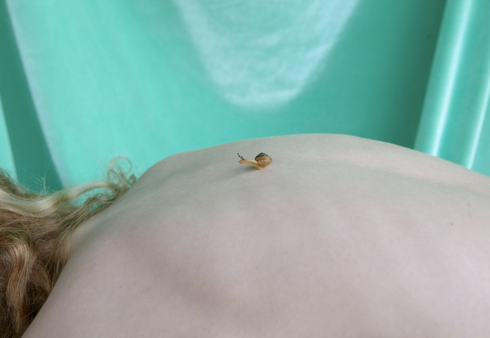 Emily Peacock, the only son of a photographer, 2025