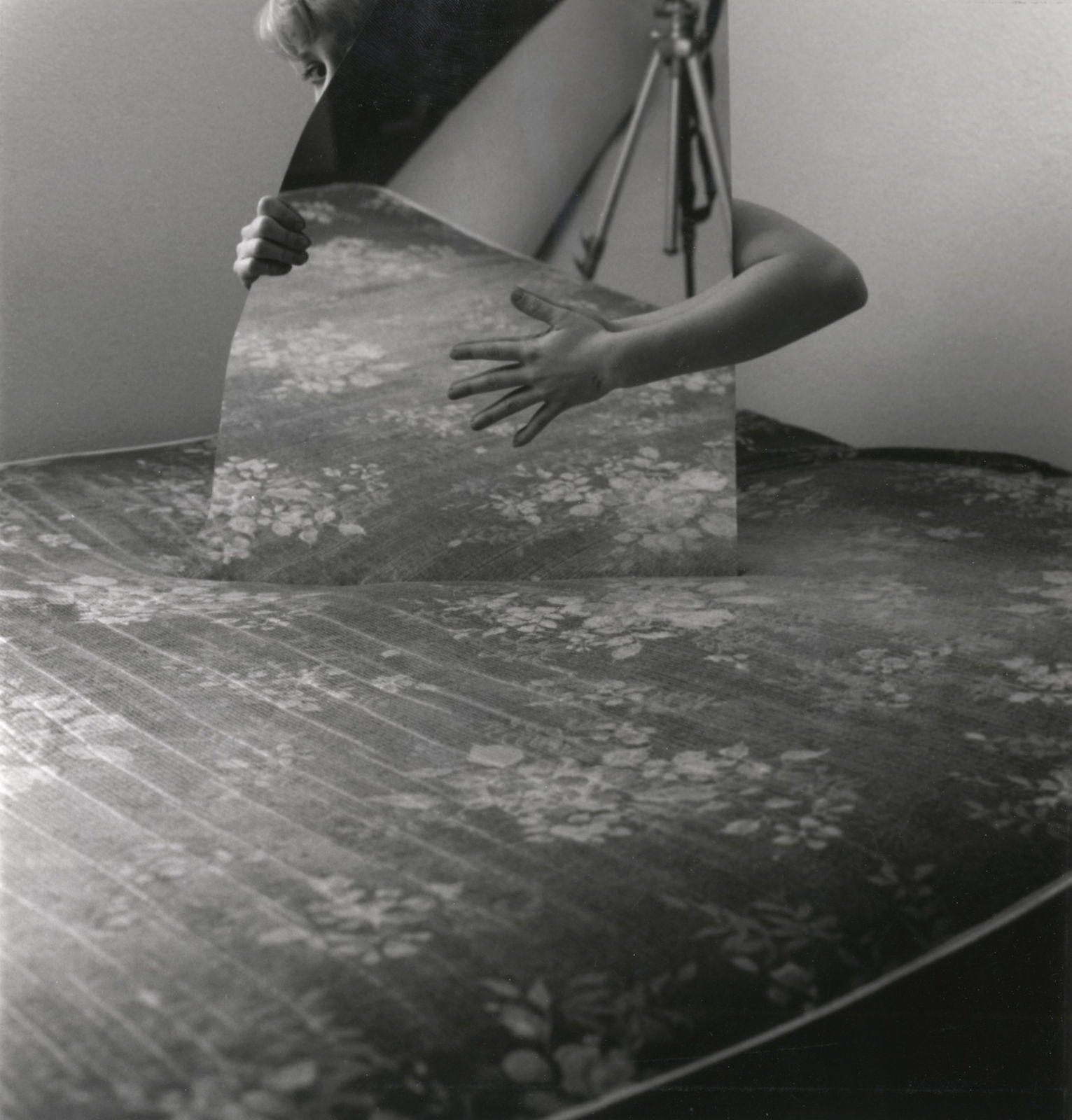 Emily Peacock, Untitled, 2006