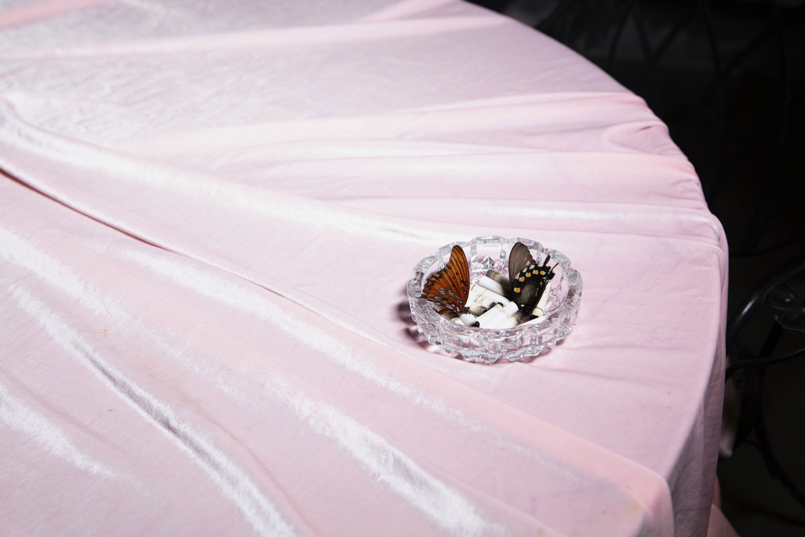 Emily Peacock, Pretty, Witty, Shitty, 2025