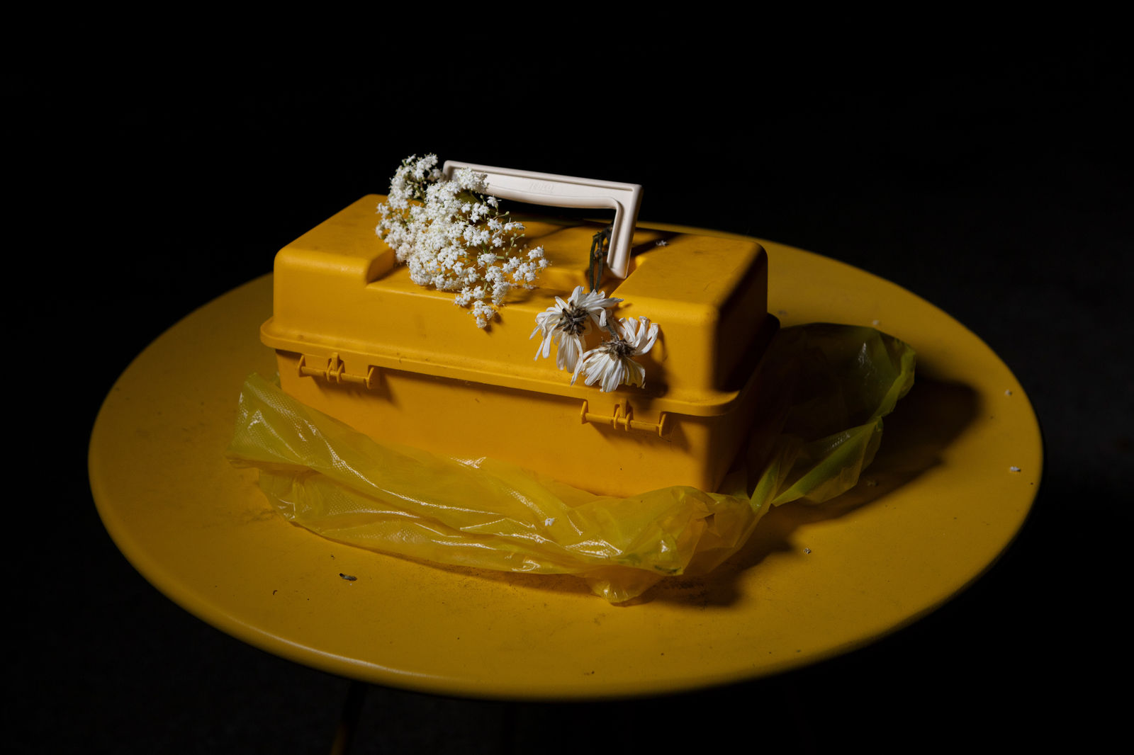 Emily Peacock, Outdoor Recreation 15, 2024