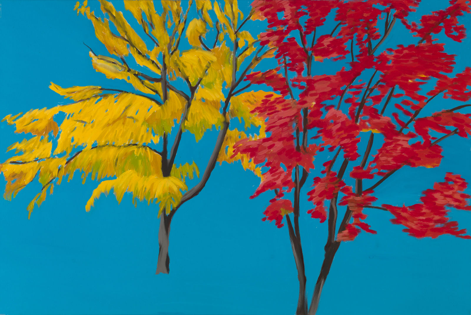 Janet Alling, Tree Portrait #60: Providence, Double Tree Portrait, Autumn, 2010