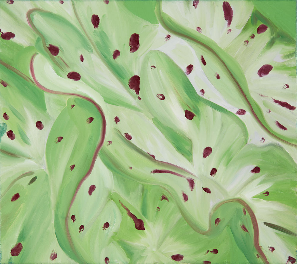 Janet Alling, Caladium 11: Puff, 2019