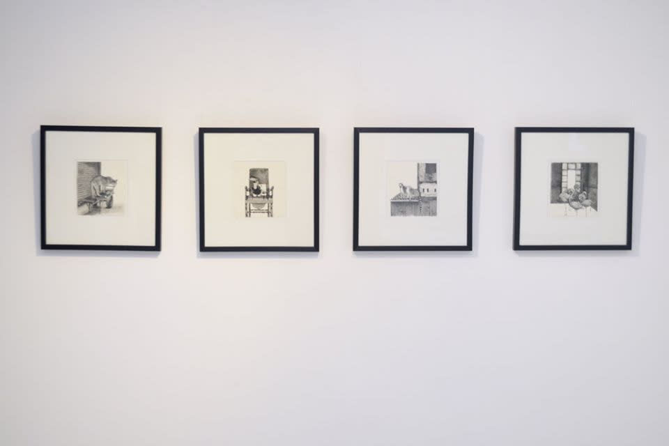 Firi Rahman, Cougar, 2018