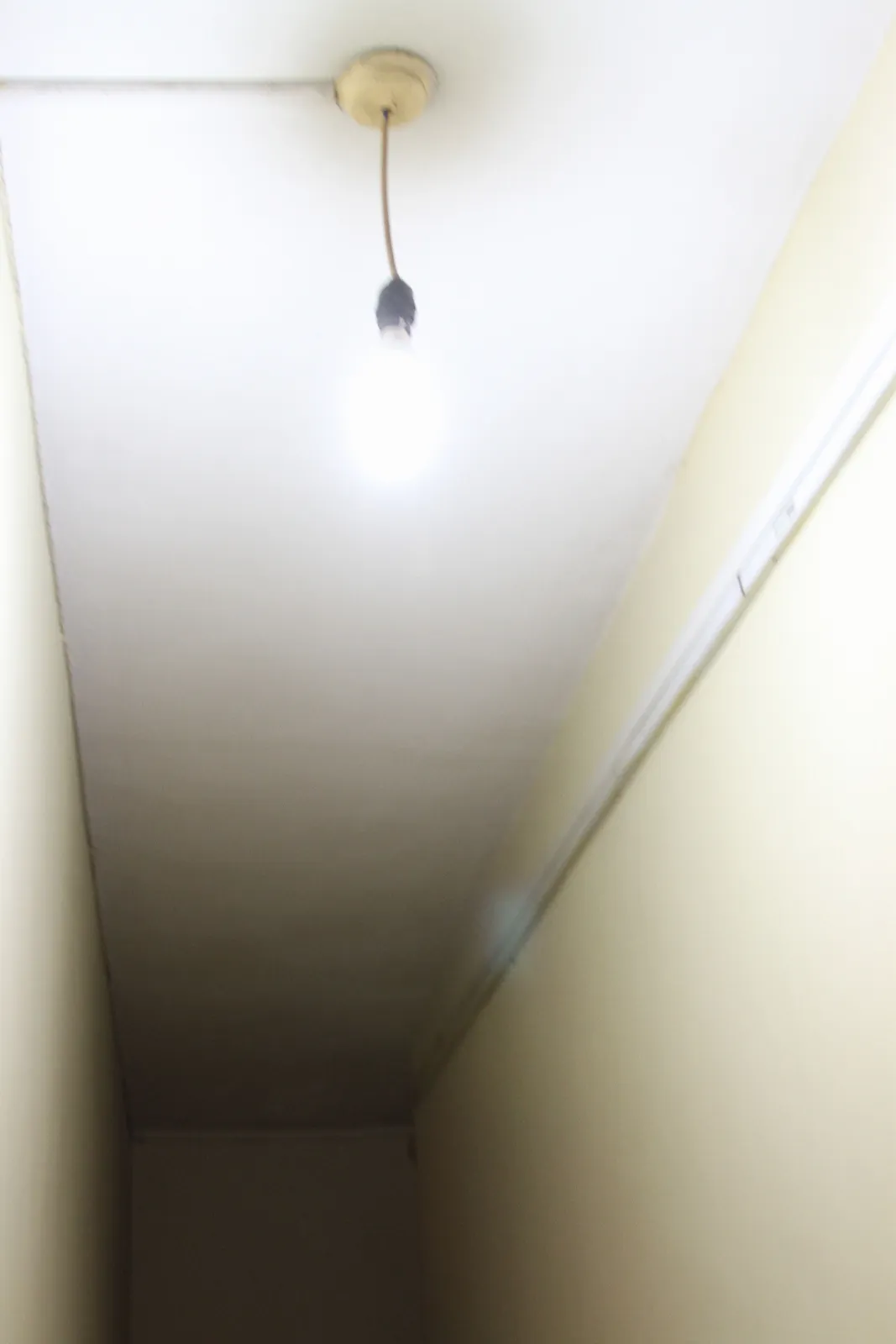 Liz Fernando, Untitled iv, 2015