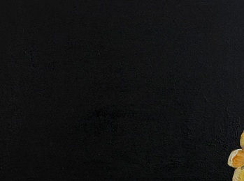 Dileepa Jeewantha, My Journey XIV, 2024