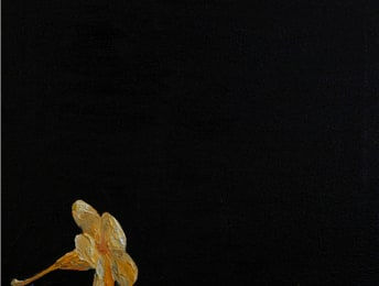 Dileepa Jeewantha, My Journey XIV, 2024