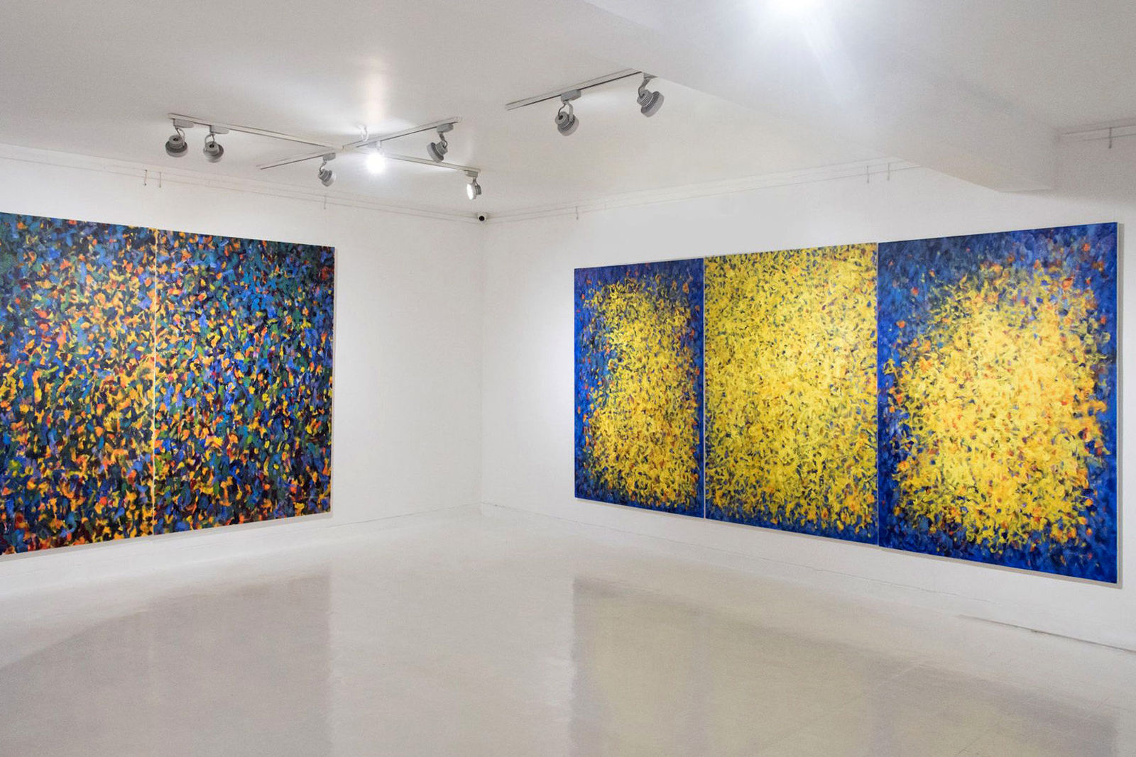 Ruwan Prasanna, Komorebi, Saskia Fernando Gallery, Colombo, Sri Lanka, 2017