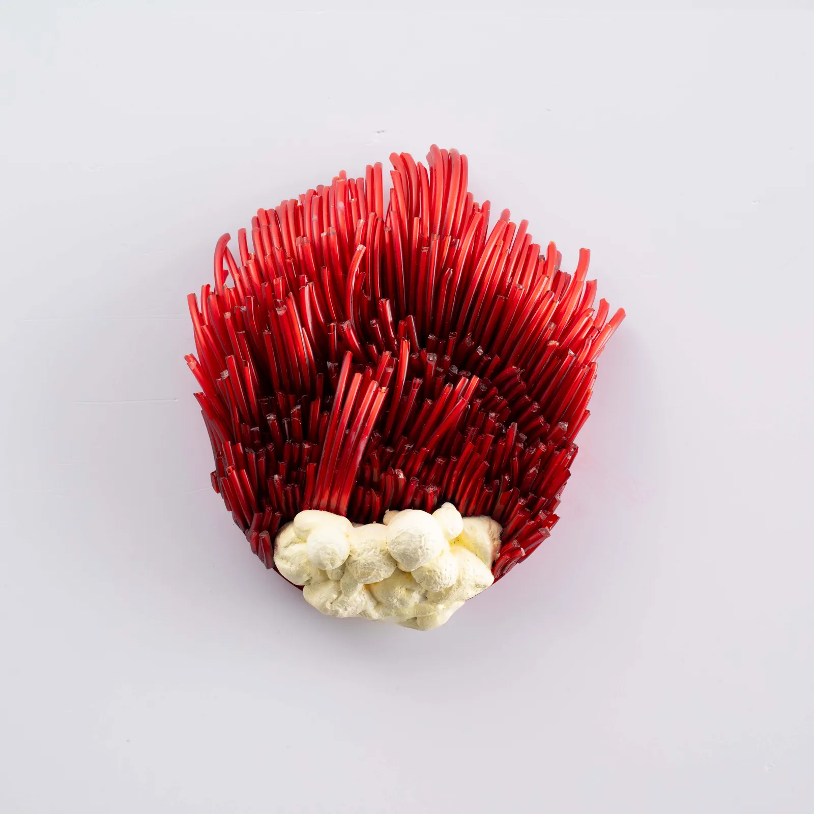 Dumiduni Illangasinghe, कलियाँ Blossoming Buds ii, 2026