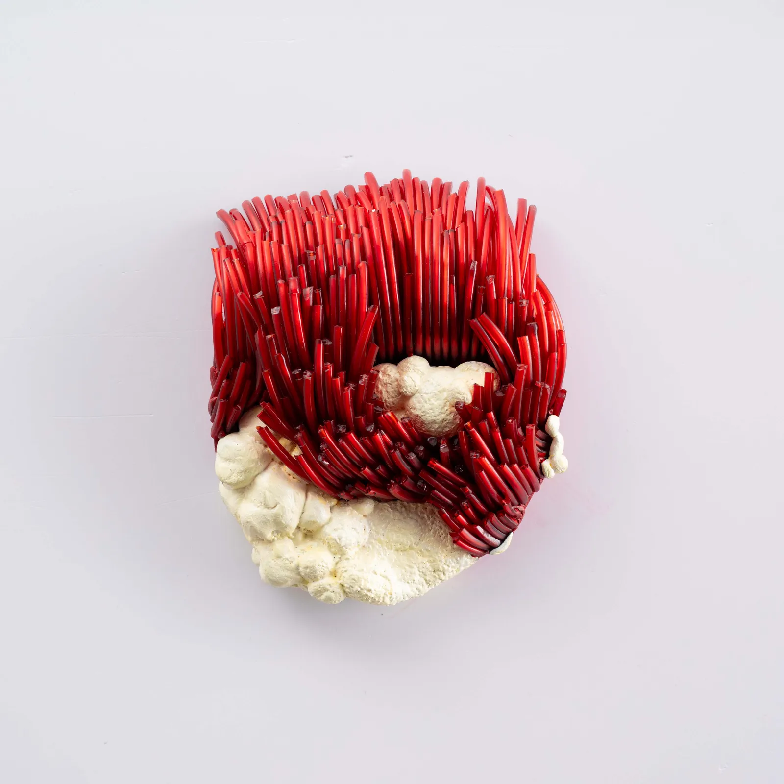 Dumiduni Illangasinghe, कलियाँ Blossoming Buds iii, 2026