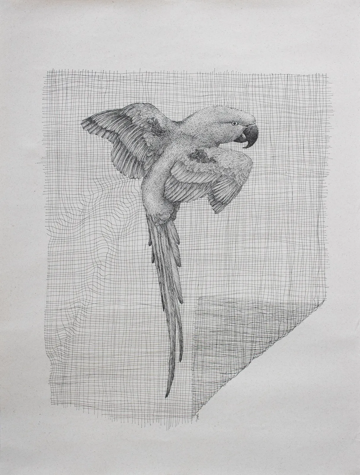 Firi Rahman, Enclosure I, 2020