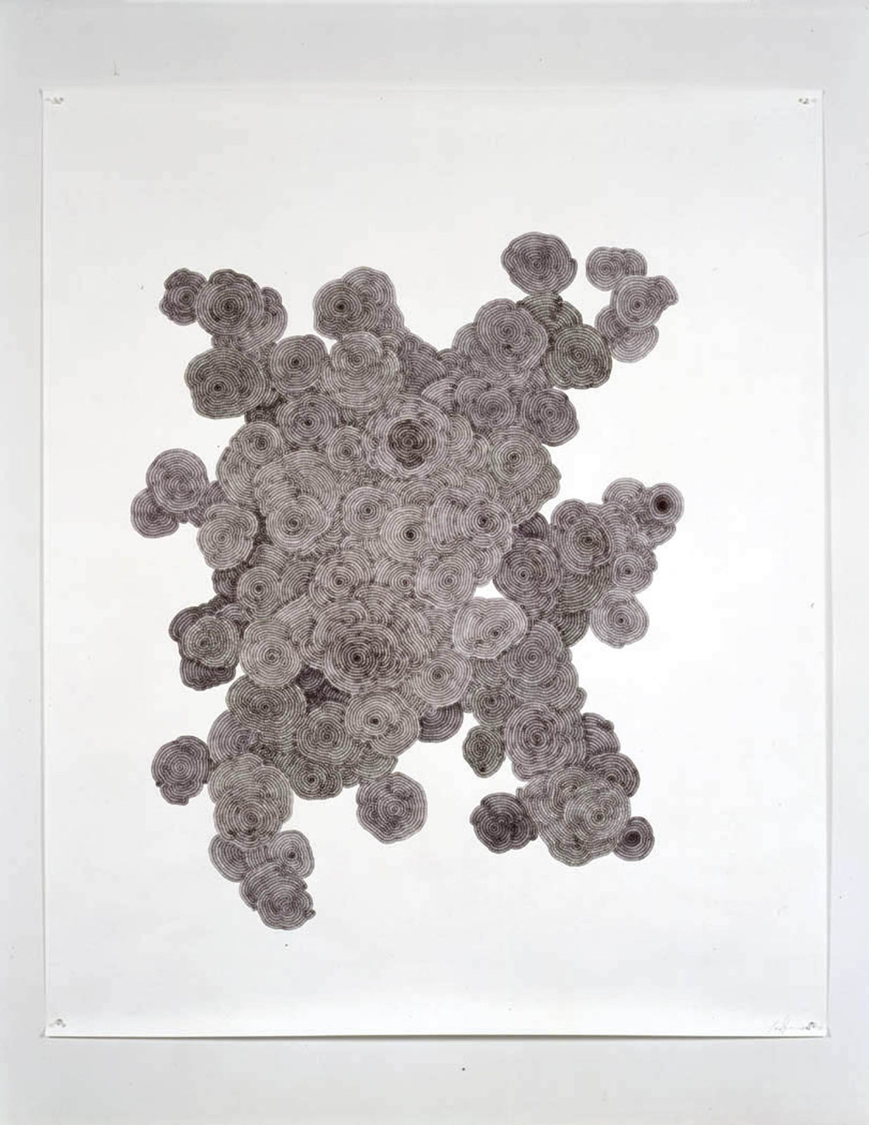 Tara Donovan, Untitled, 2003