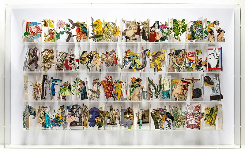 Jack Milroy, Species, 2025