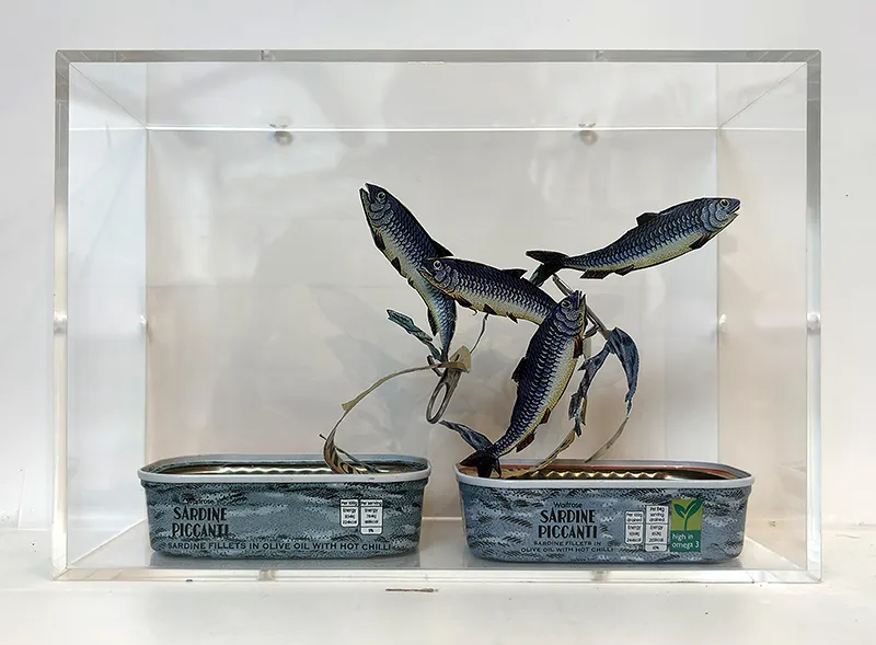 Jack Milroy, Piccanti Sartango, 2026