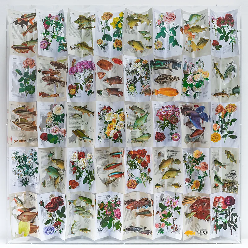 Jack Milroy, Fish and Flowers, 2026