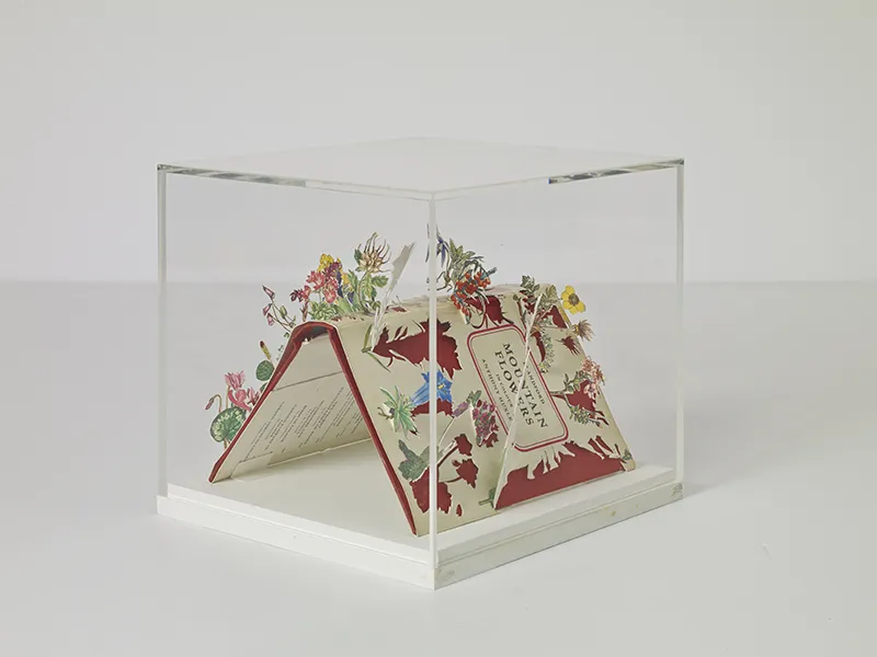 Jack Milroy, Mountain Flowers II, 2016