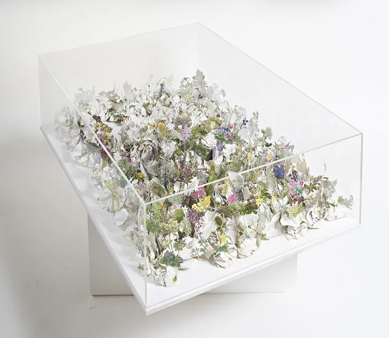 Jack Milroy, Plantes de Rocaille, 2020