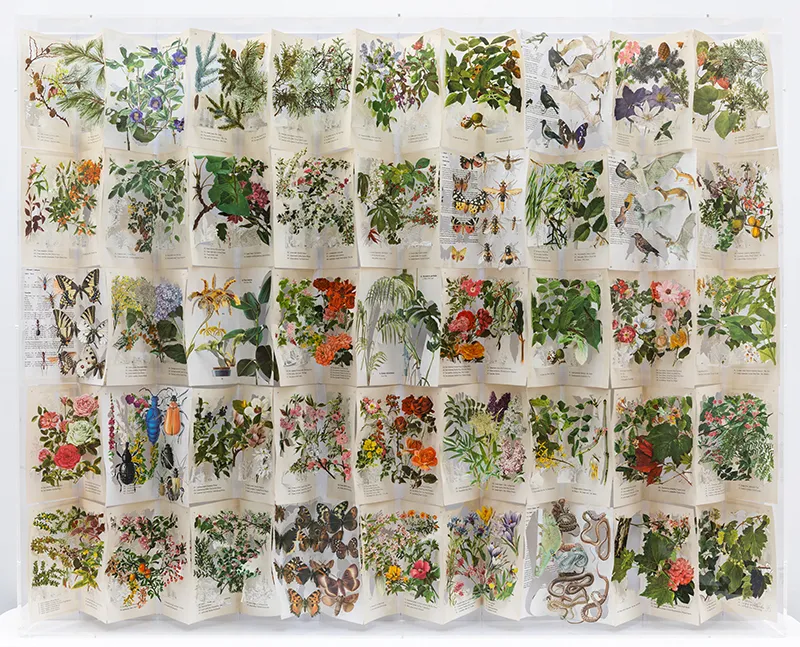 Jack Milroy, Gardening in the Library, 2020