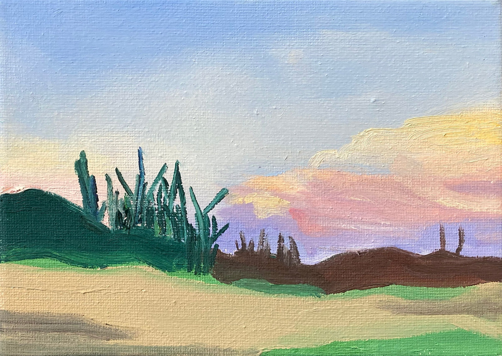 Elise Debrock, Cacti Klein, 2020