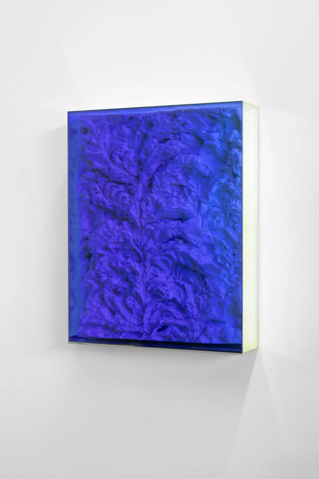 Filip Vervaet, Shadows black and blue, 2021