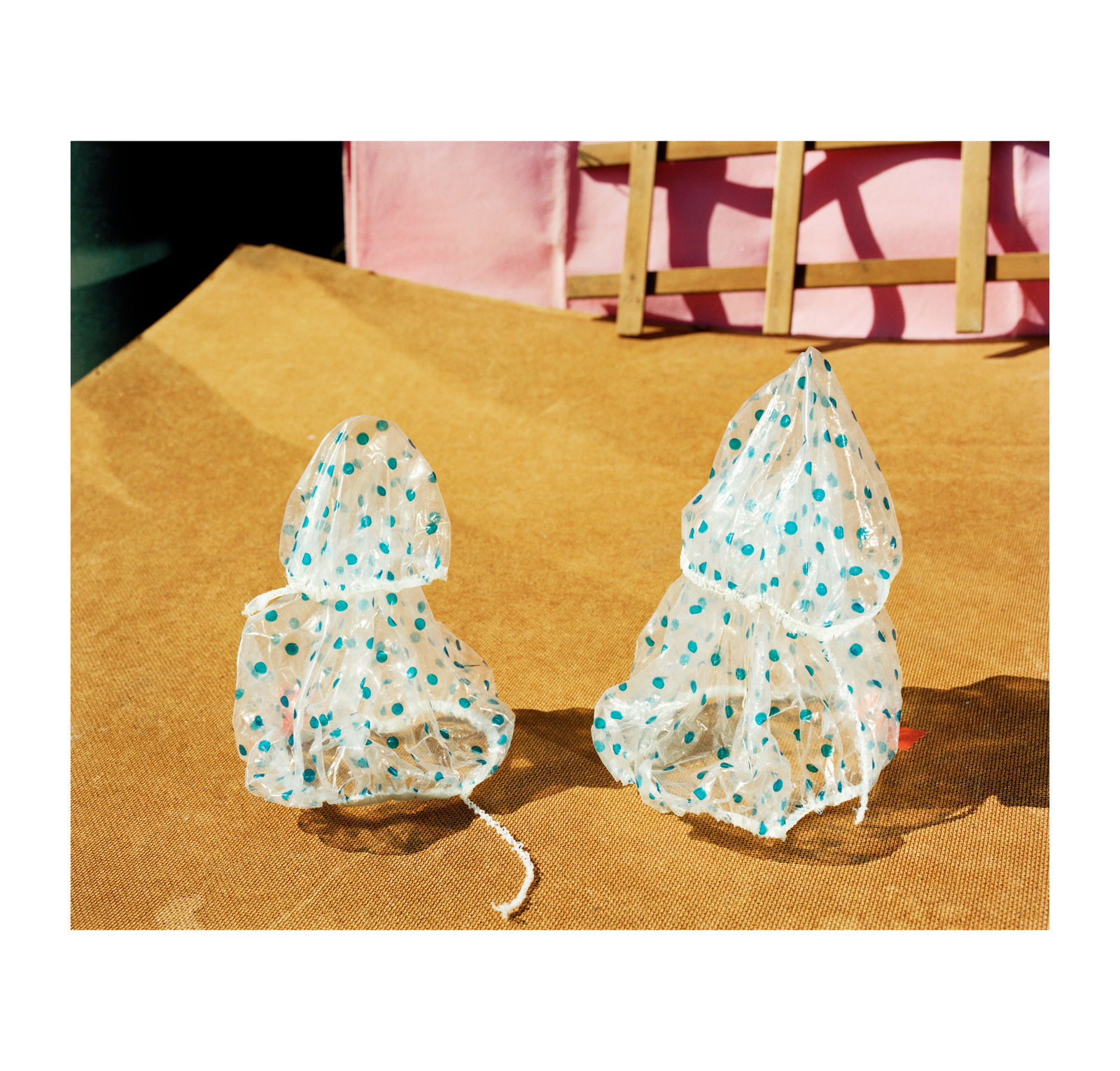 Etienne Courtois, Vanishing Twins, 2020