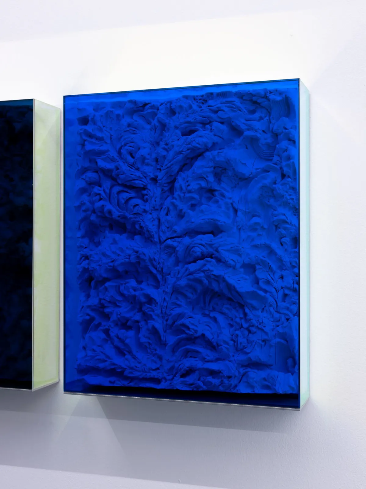 Filip Vervaet, Shadows black and blue, 2021