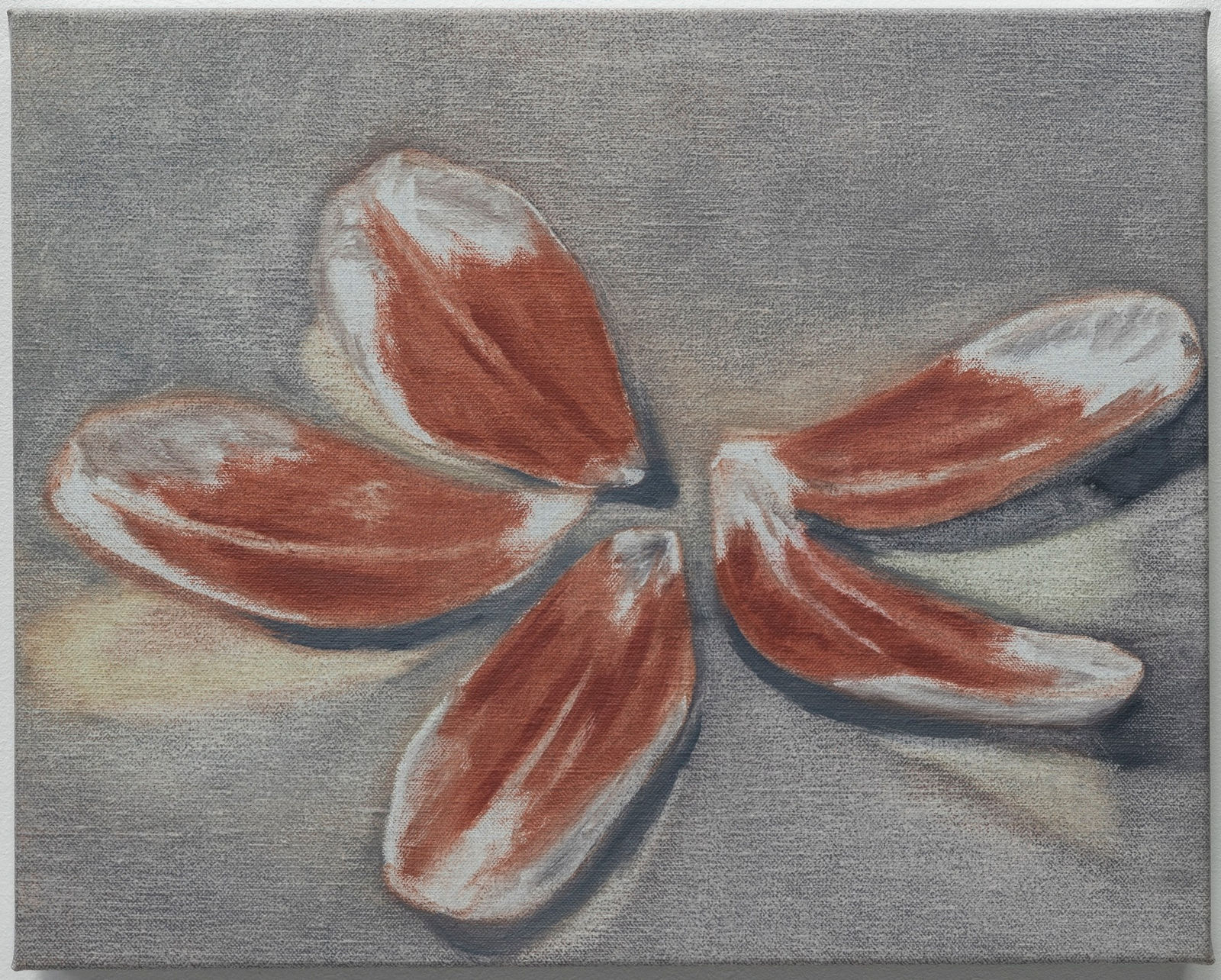 Edouard Devriendt, indicatie, 2024