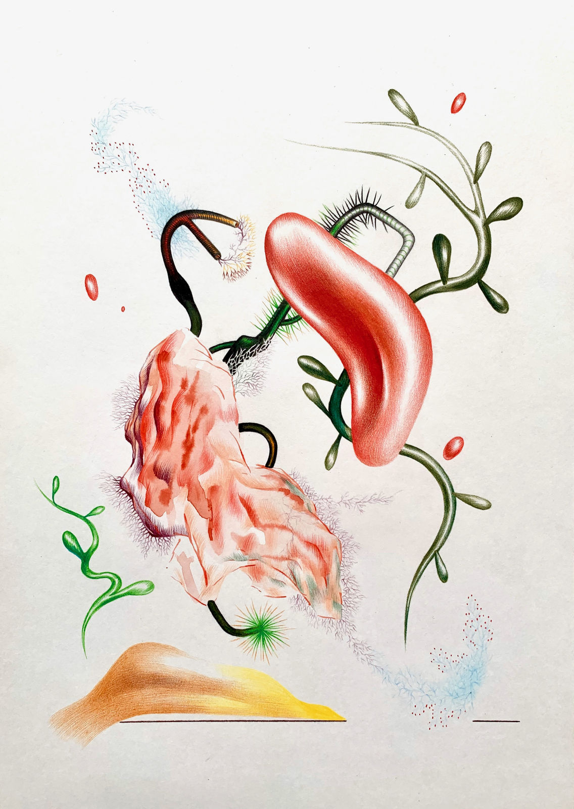 Elena Minyeyevtseva, Caesar’s Blood Cell Salad, 2020