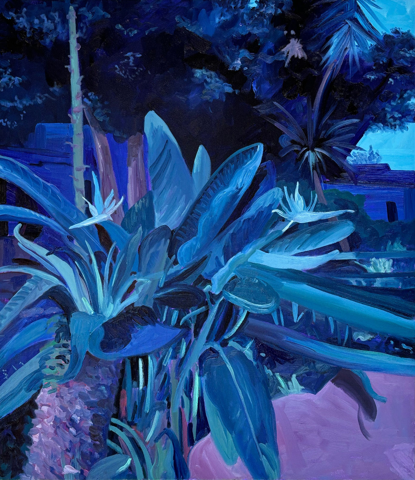 Elise Debrock, Miami in Mexico, 2024