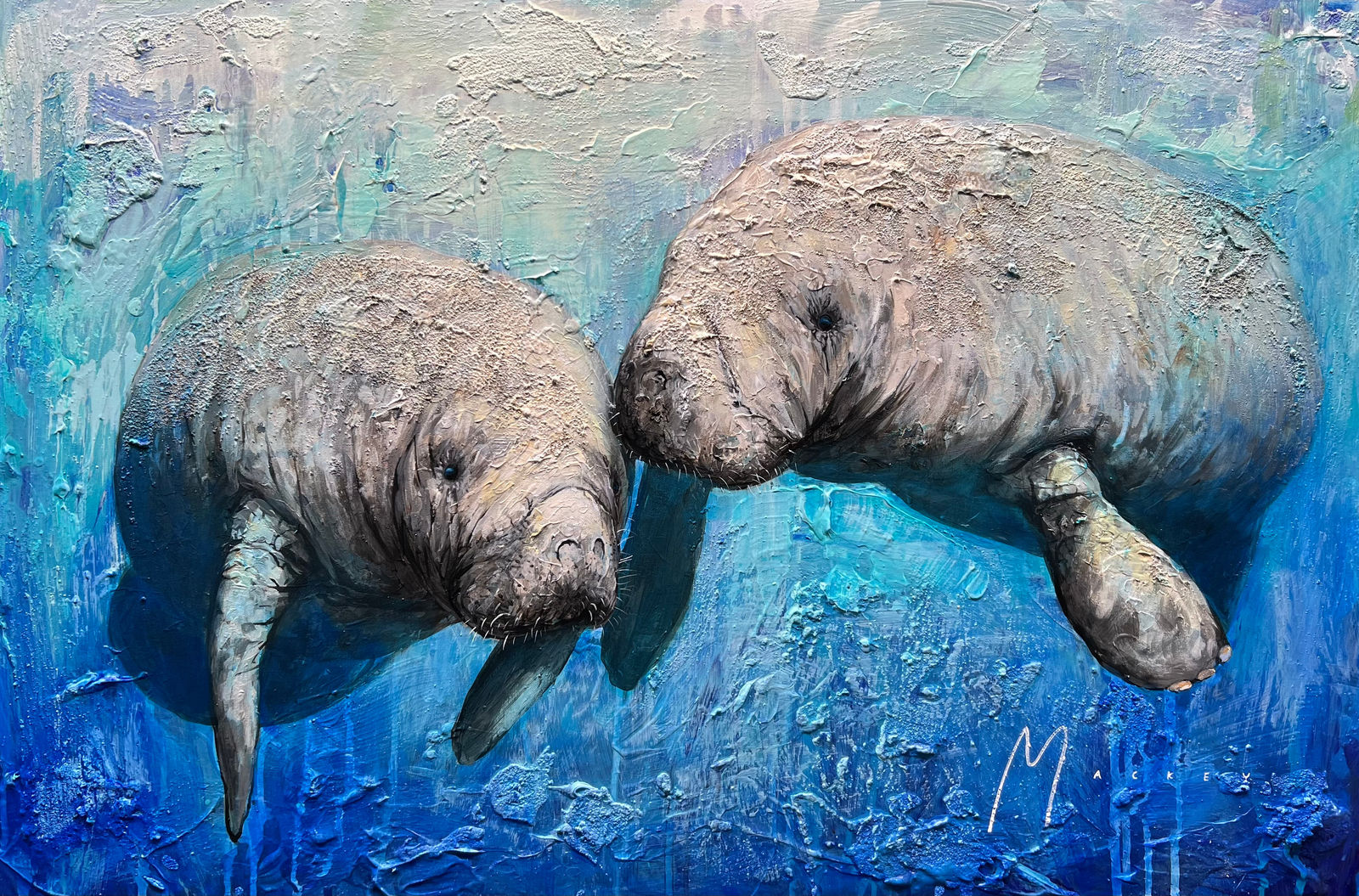 Shawn Mackey, Ocean Kiss SN