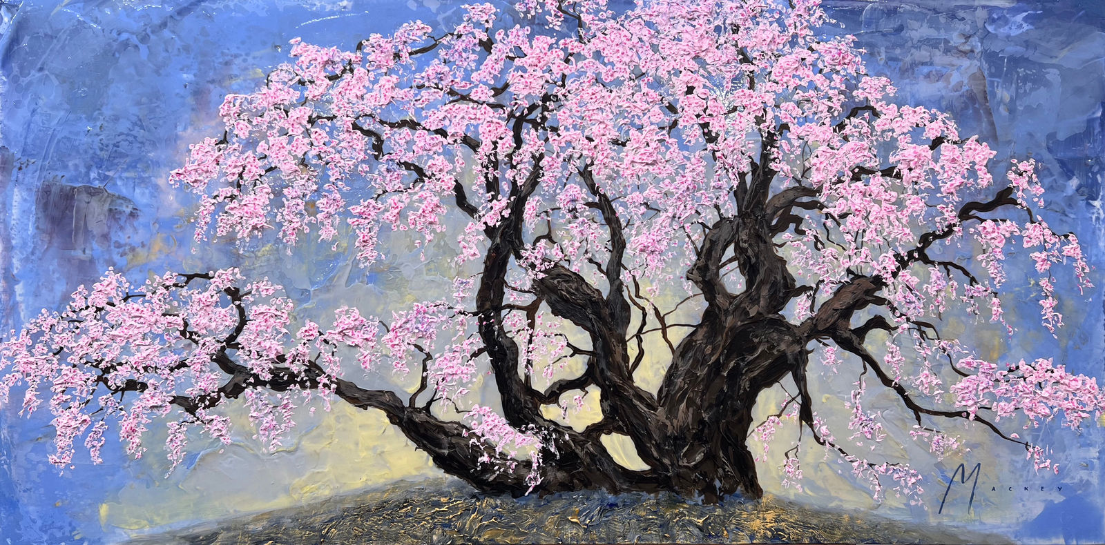 Shawn Mackey, Sakura SN