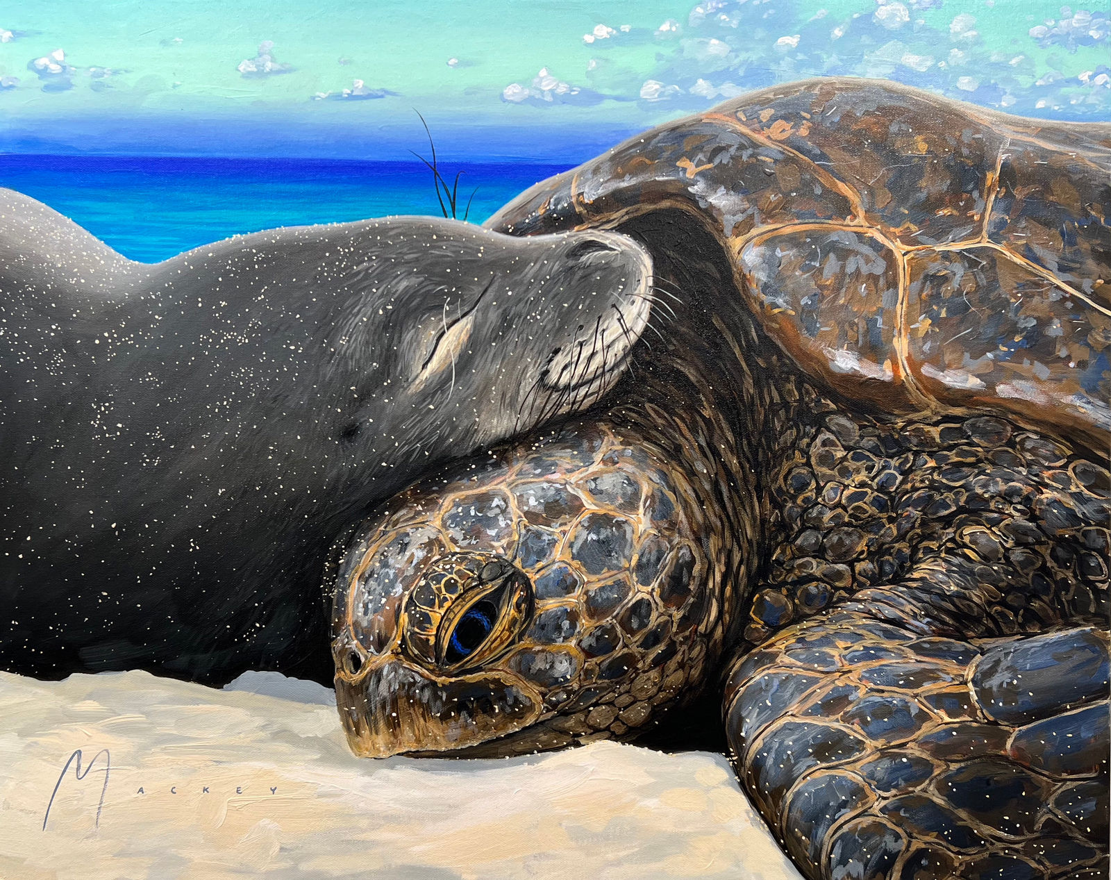 Shawn Mackey, Beach Buds SN