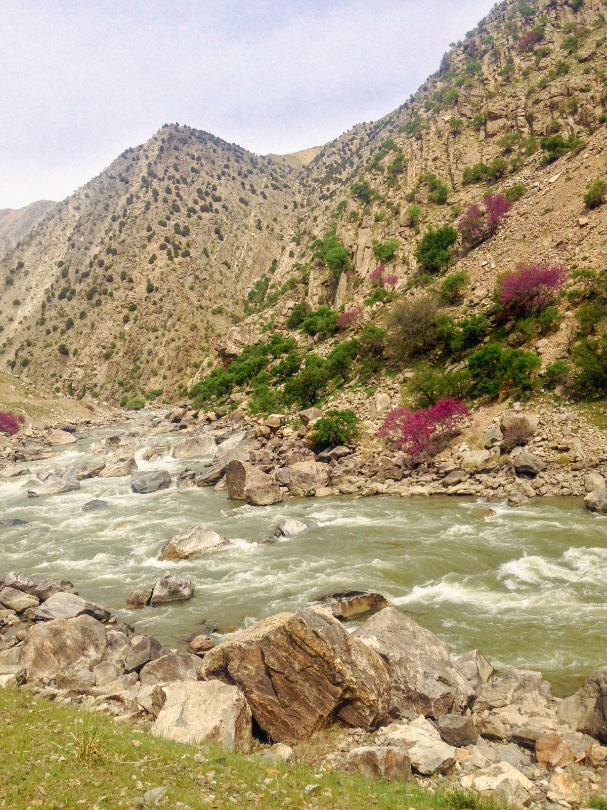 Sherihan Khalil, A Stream in Parwan Afghanistan, 2017