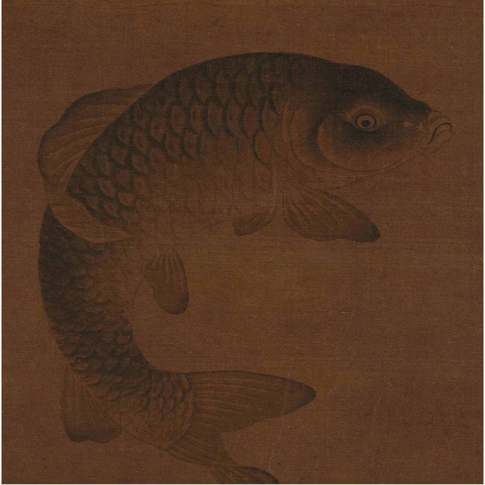 Fan Anren (act. 13th c.) , Carp