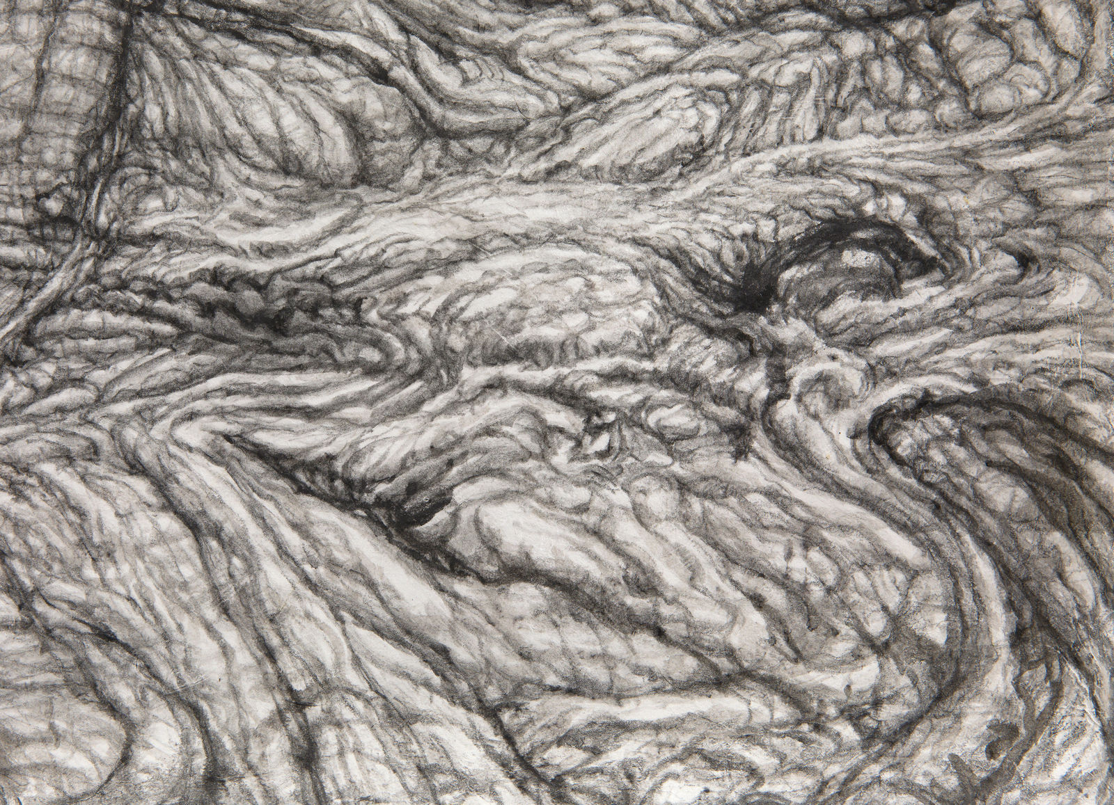 Shi Jin-Hua, Rock Landscape #1, 2021