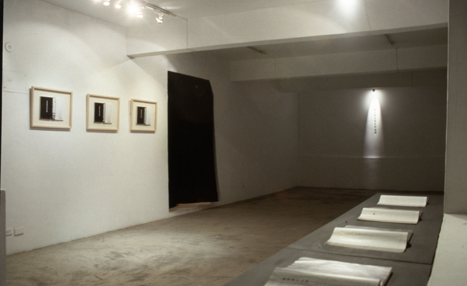 Shi Jin-Hua, Xiong Shi Project, 1993