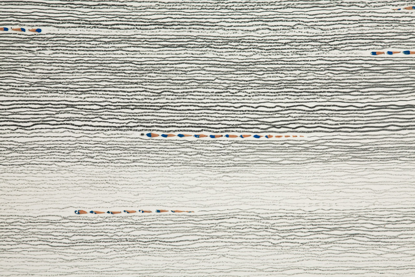 Shi Jin-Hua, Pen Walking #117, 2011