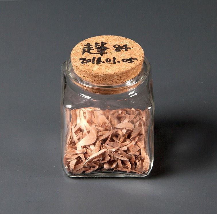 Shi Jin-Hua, Pen Walking #84, 2011