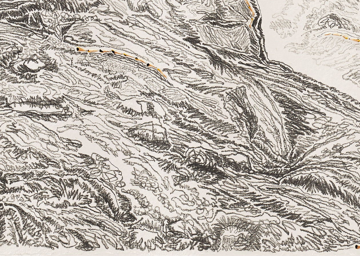 Shi Jin-Hua, Pen Walking #136, 2014