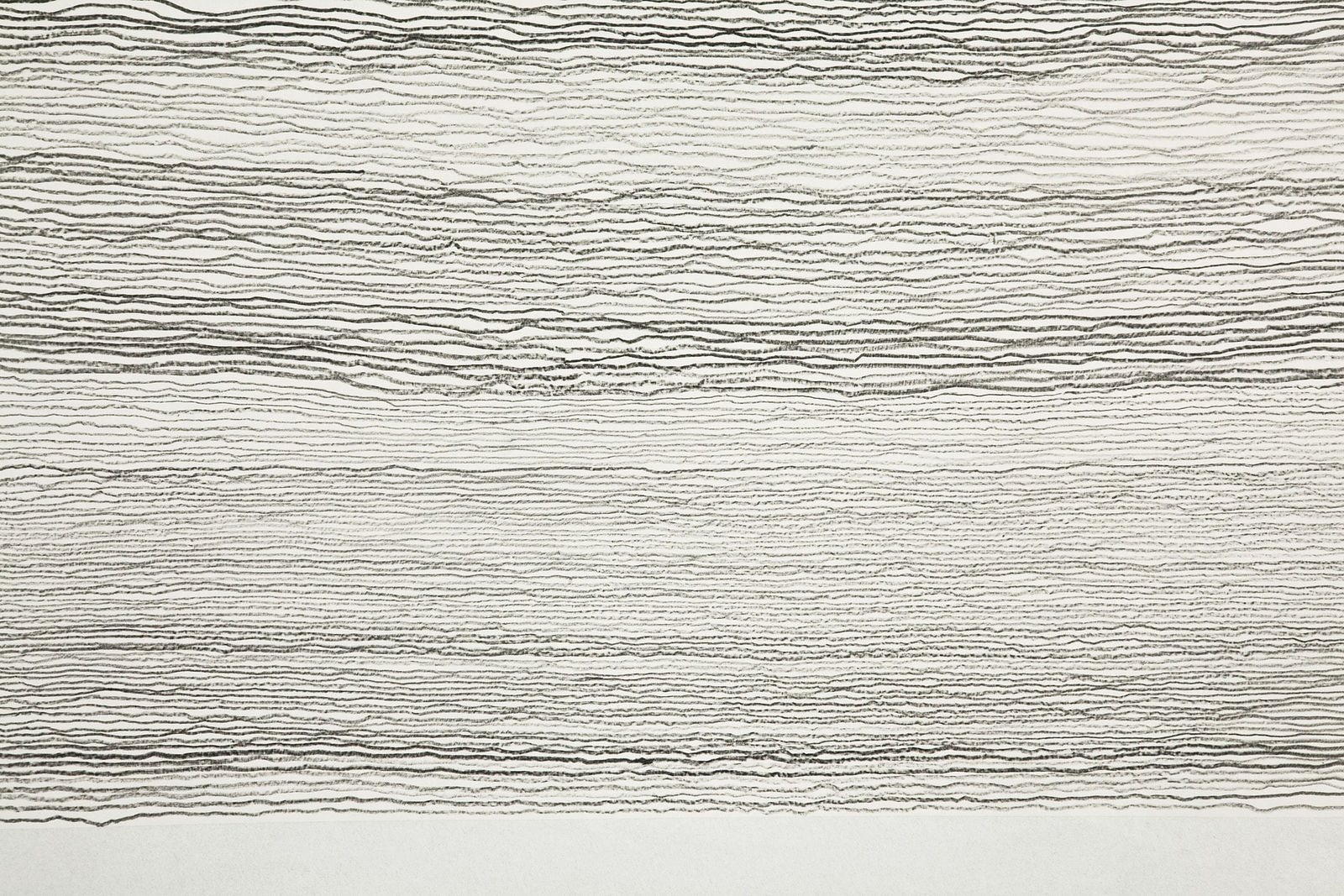 Shi Jin-Hua, Pen Walking #114, 2011