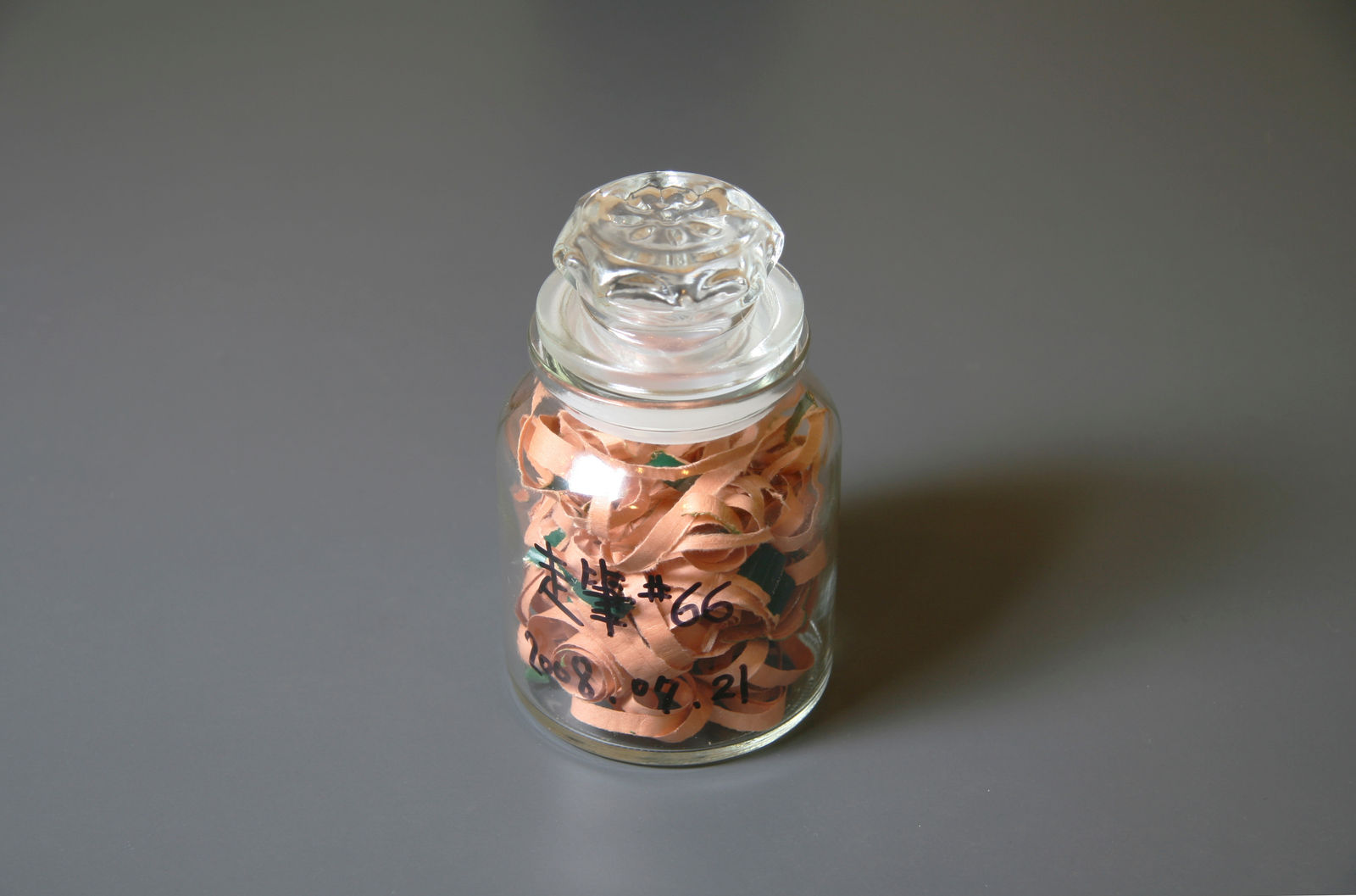 Shi Jin-Hua, Pen Walking #66, 2008