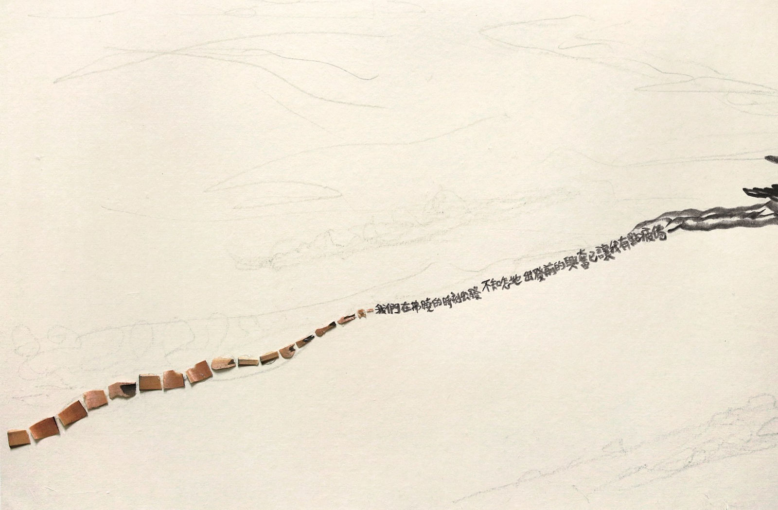 Shi Jin-Hua, Pen Walking #163, 2012-2016