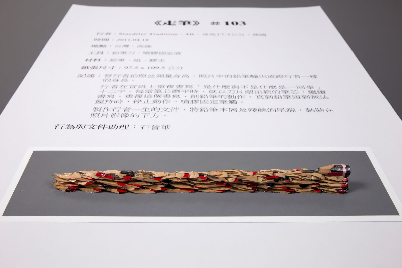 Shi Jin-Hua, Pen Walking #103, 2011