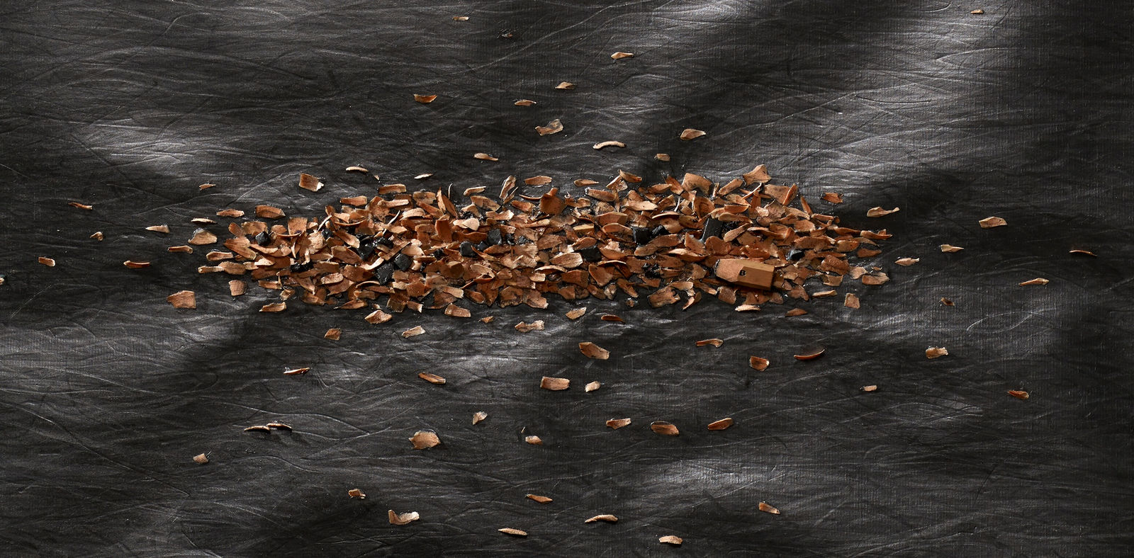 Shi Jin-Hua, Pen Walking #138, 2014