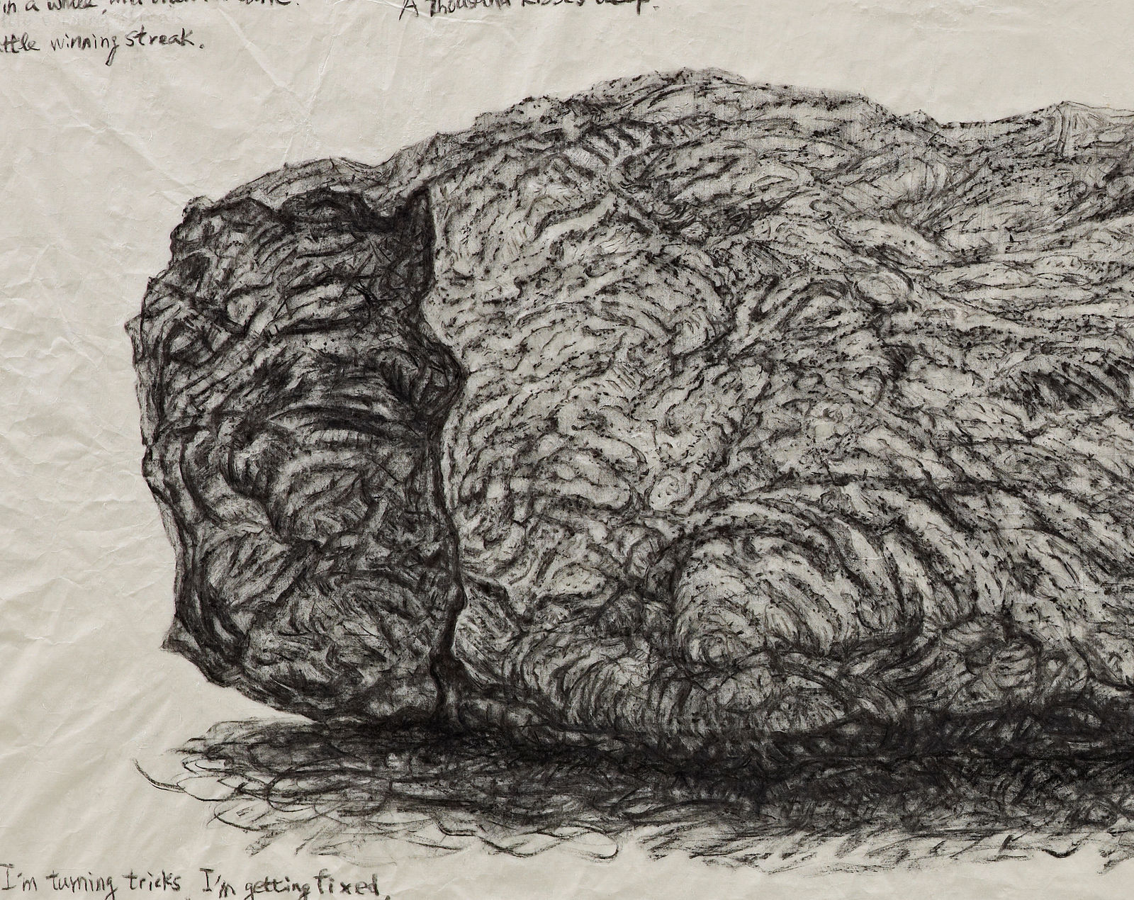 Shi Jin-Hua, Basalt under the Bodhi Tree, 2015