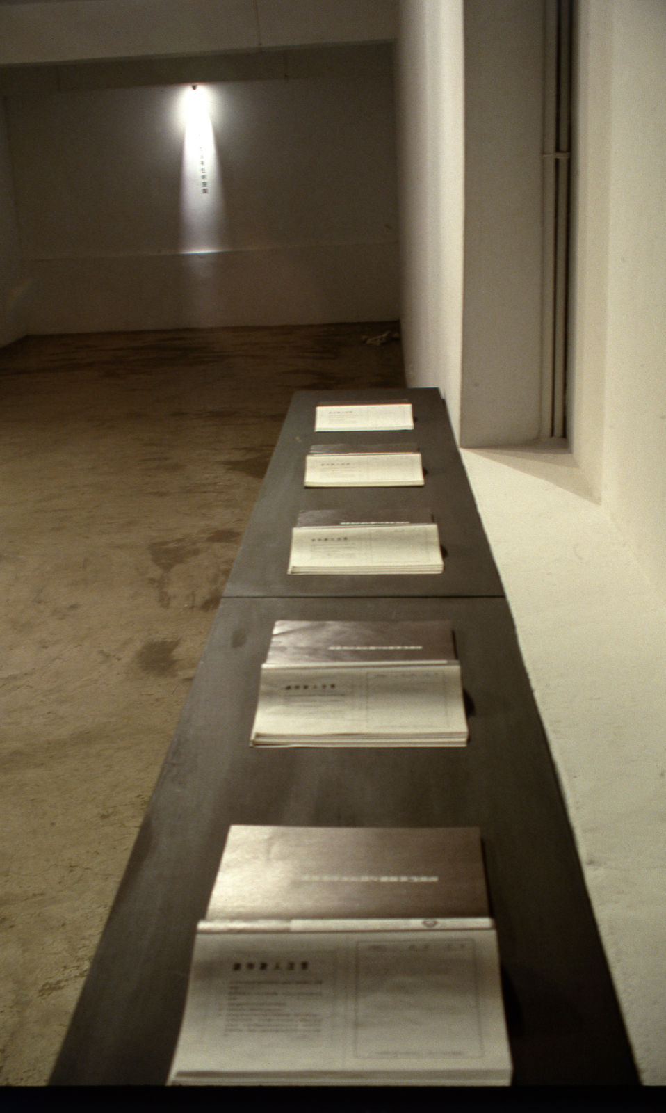 Shi Jin-Hua, Xiong Shi Project, 1993